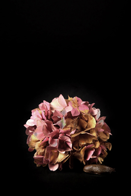 1A_K5_0730-ok-neu-02